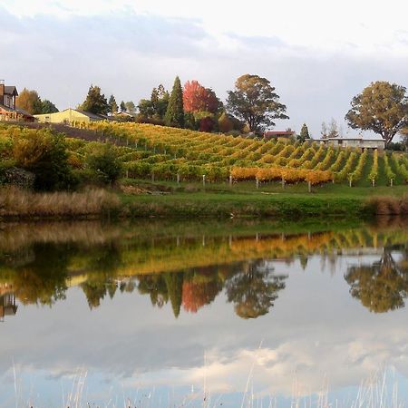 Pine Hill Lodge In Vineyard Mapua Ngoại thất bức ảnh