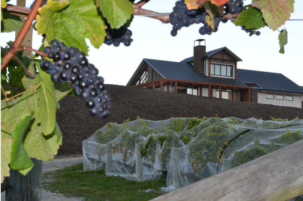 Pine Hill Lodge In Vineyard Mapua Ngoại thất bức ảnh