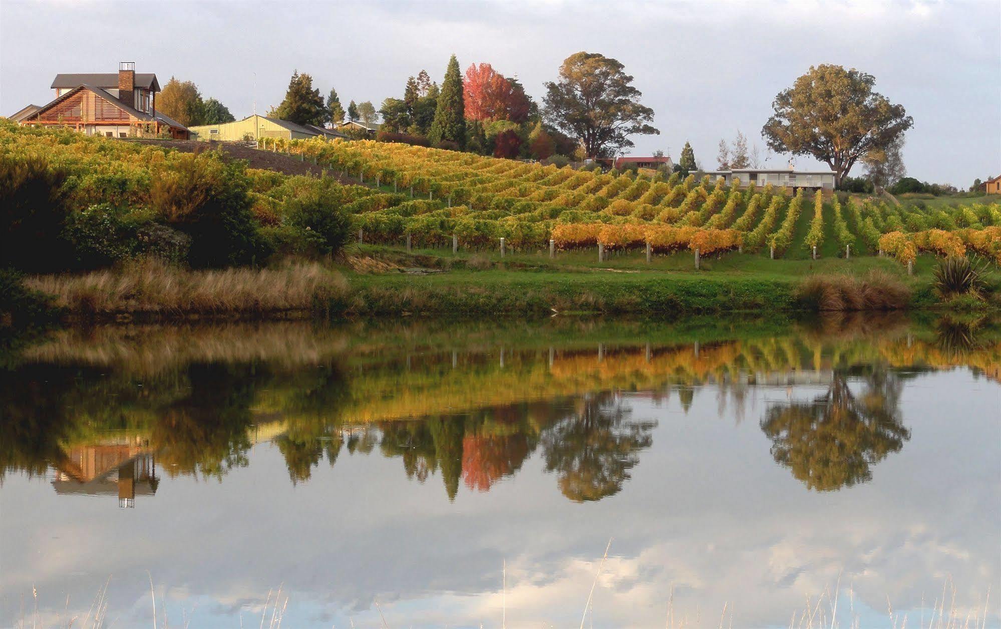 Pine Hill Lodge In Vineyard Mapua Ngoại thất bức ảnh
